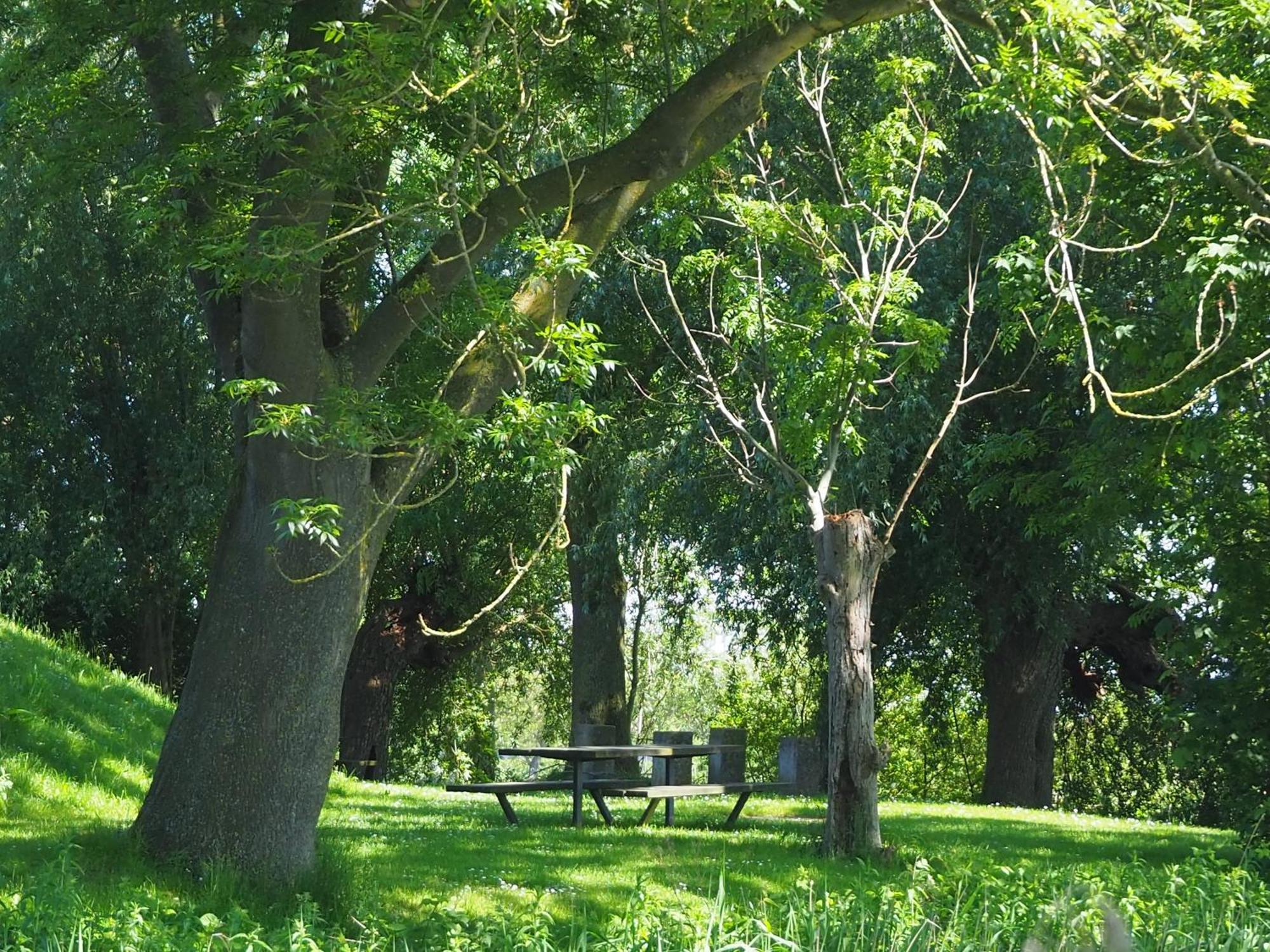 Appartamento Het Spoel Culemborg Esterno foto